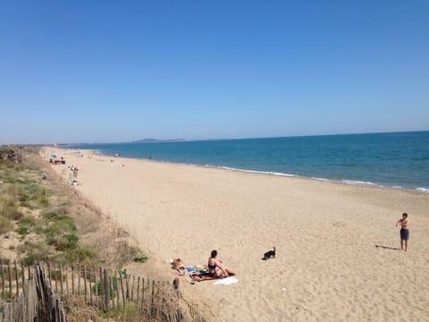 On the beach