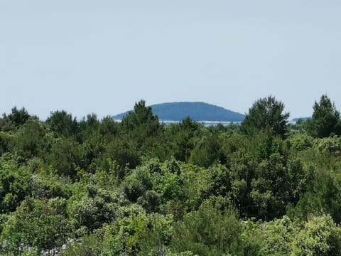 Land view from property