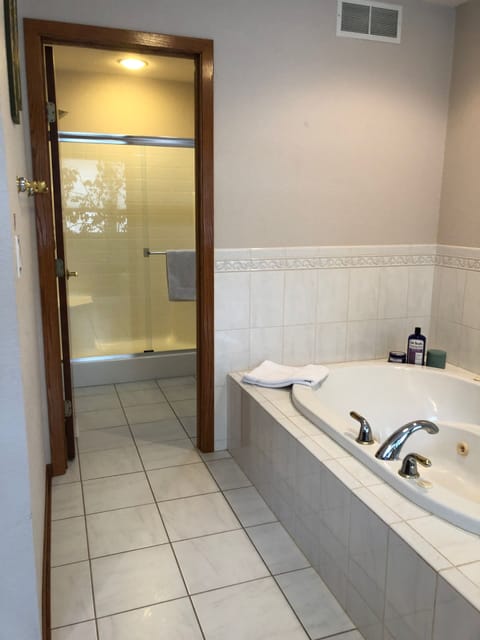 Shower, jetted tub, hair dryer, towels