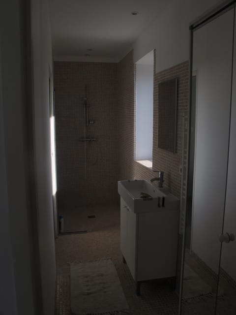 Combined shower/tub, hair dryer, toilet paper