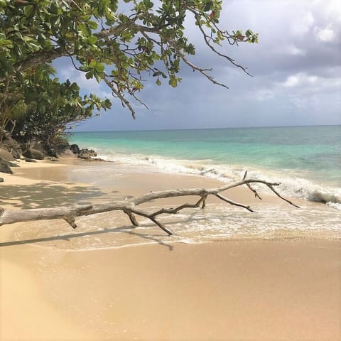 On the beach, sun loungers, beach towels