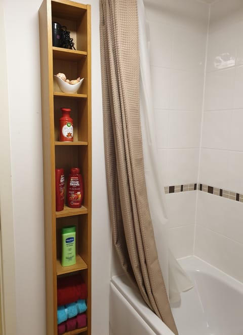 Combined shower/tub, hair dryer, towels, soap