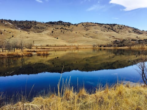 Beautiful Wonderland Lake