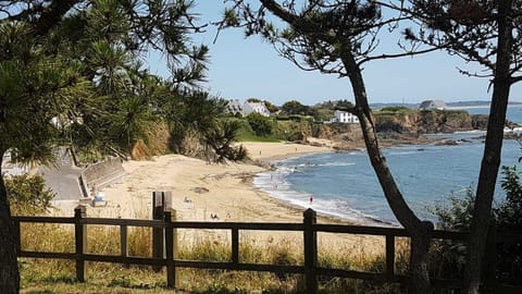 On the beach, sun loungers