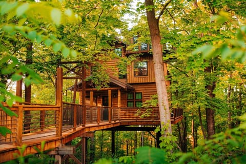 Treehouse Exterior
