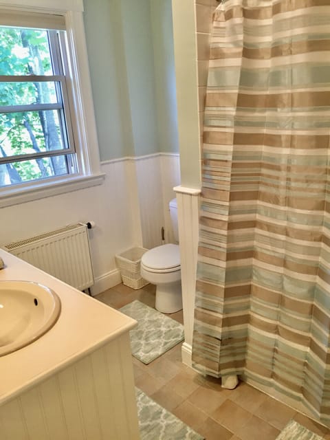 Combined shower/tub, hair dryer, towels