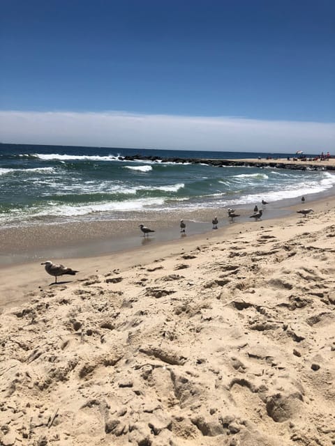 Beach nearby, sun loungers