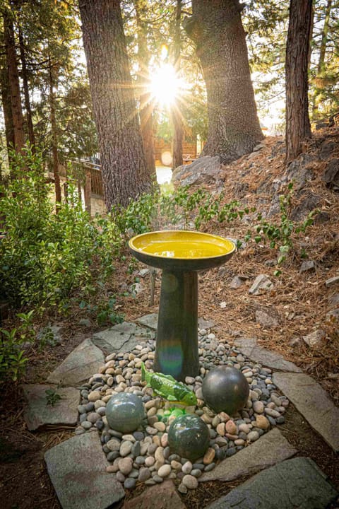 Walking up the stairs to what awaits. A bird bath along to the front door.