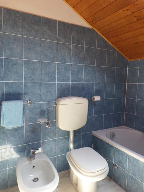 Combined shower/tub, bidet