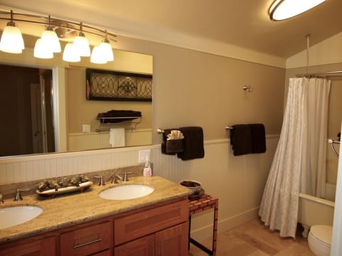 Combined shower/tub, hair dryer, towels, soap