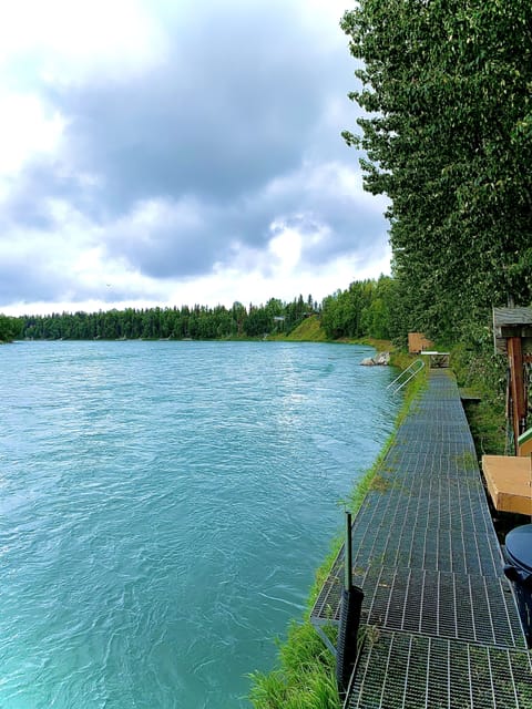 Beautiful Kenai River