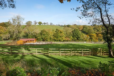 View from the main house garden over our Paddocks.