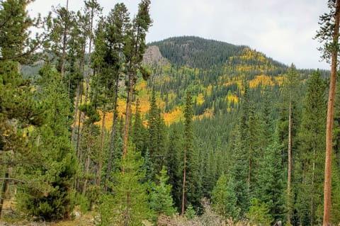 Fall colors can't be beat in Summit County!