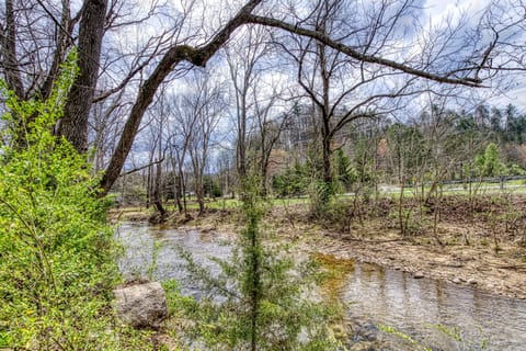 Chalet in the Smoky Mountains "Lee's Creekside" - Creekside view