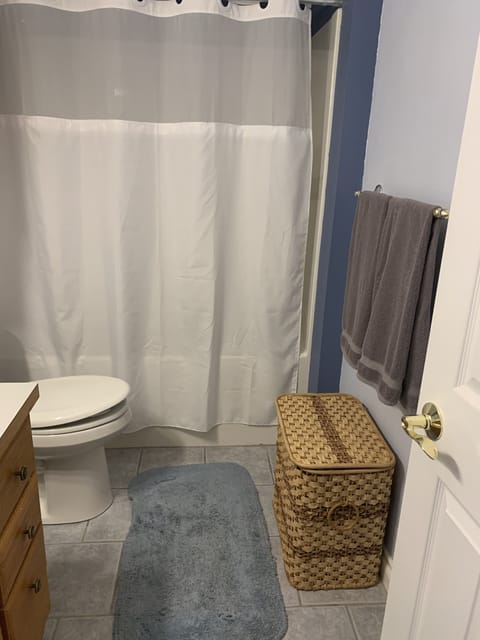 Bathtub, towels, toilet paper