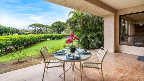 Very spacious ground floor lanai