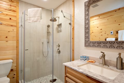 Combined shower/tub, hair dryer, towels