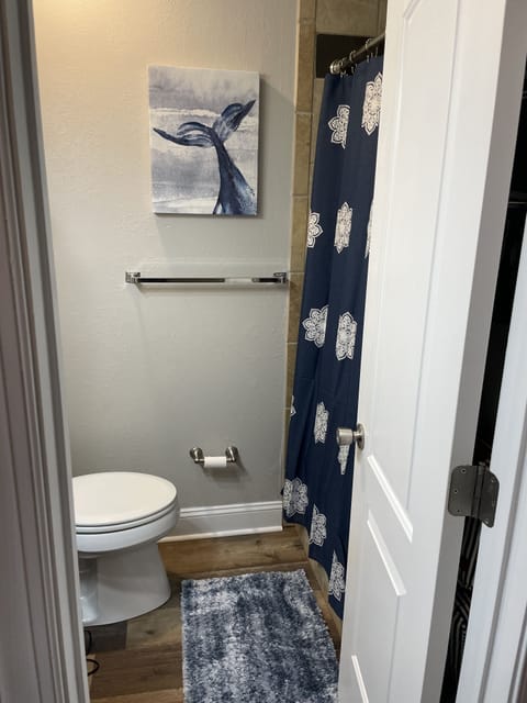 Combined shower/tub, jetted tub, hair dryer, toilet paper