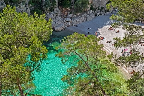 Sun loungers, beach towels