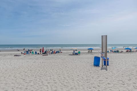 On the beach