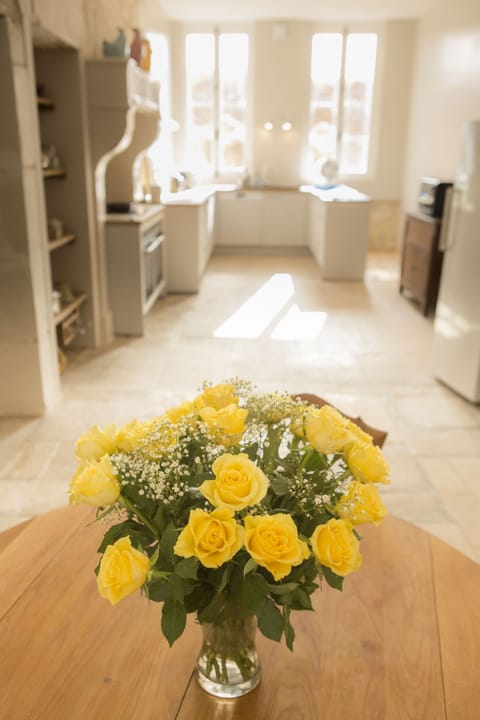 Large house with garden for friends or family. House in Bourgogne-Franche-Comté