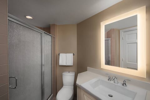 Combined shower/tub, jetted tub, hair dryer, towels