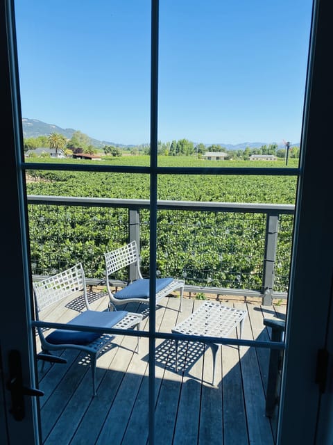 Overlooking vineyards 