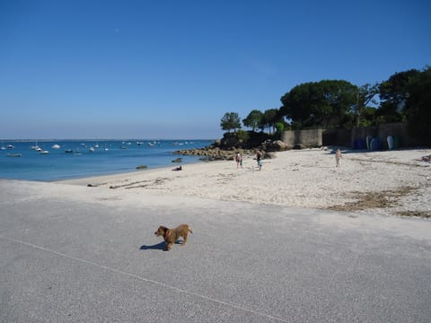 Beach nearby, sun loungers