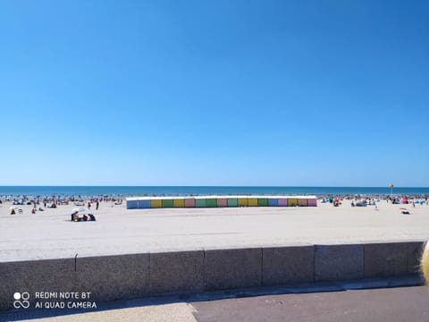 On the beach