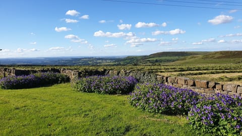 Summer views of the Holme Valley