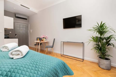 Flat-screen television in the stylish living area, where the guests can enjoy their favorite shows.