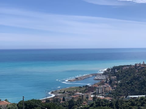 Beach/ocean view