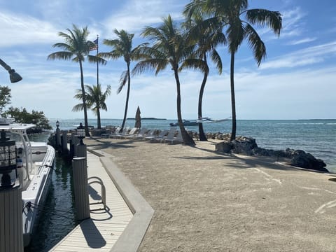 Private beach, sun loungers, beach towels