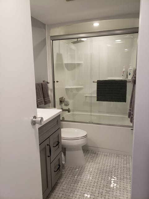 Combined shower/tub, hair dryer, towels, soap