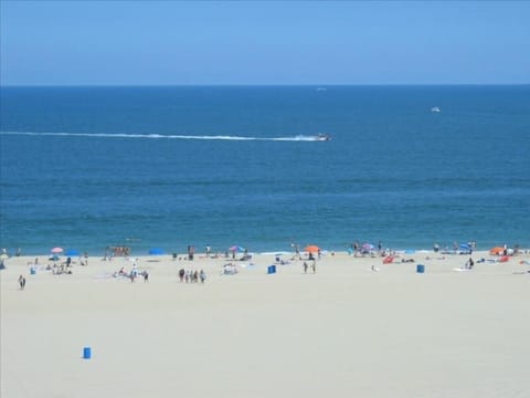 Beach | On the beach, sun loungers