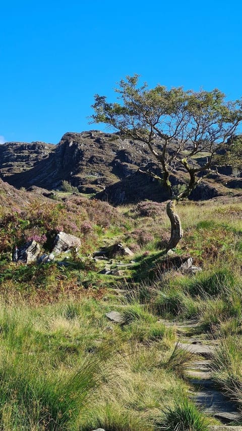 The path over the Rhinog mountains known as the Roman Steps