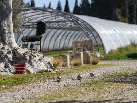 Plant, Wood, Grass, Tree, Rural Area, Landscape, Shade, Grassland, Roof, Soil