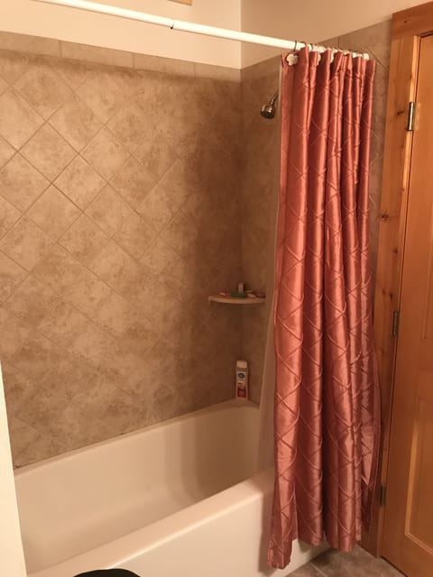 Bathtub, hair dryer, soap, toilet paper