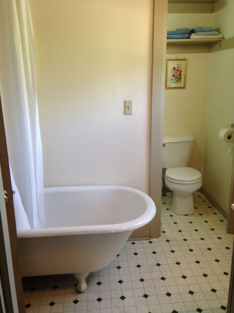 Combined shower/tub, hair dryer, towels, toilet paper