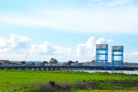Waterfront Trails by the River. Many guests use it for walking and running or just exploring.