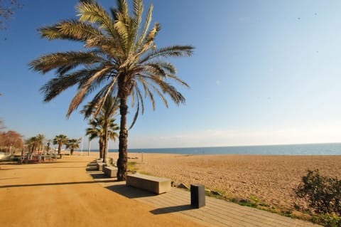 On the beach