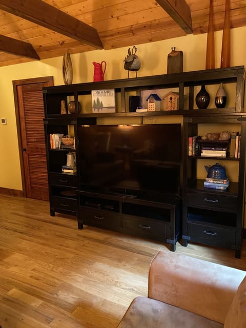 Smart TV, fireplace, DVD player, books