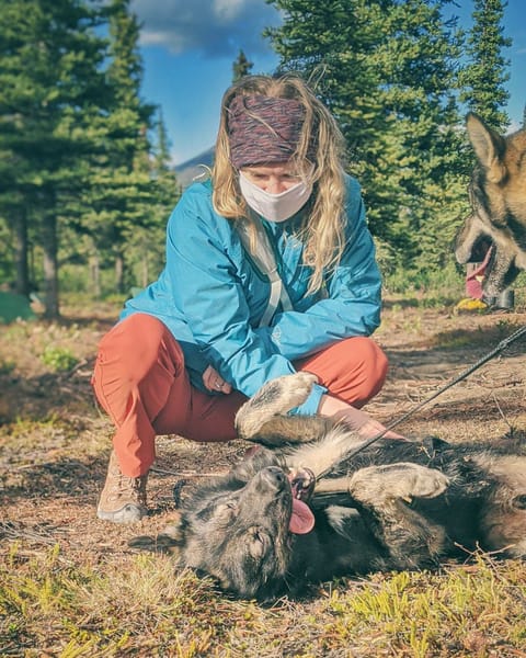 Rustic Canvas "Bear" Tent near Denali Cabin in Denali