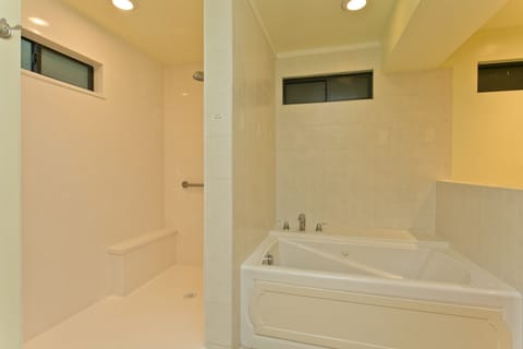 Shower, jetted tub, hair dryer, towels