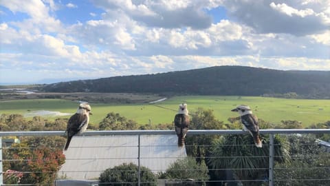 A few locals enjoying the view from the deck.