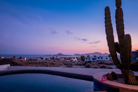 Outdoor pool, a heated pool, sun loungers