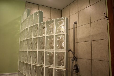 Combined shower/tub, jetted tub, hair dryer, towels