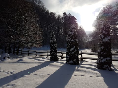 Snow and ski sports