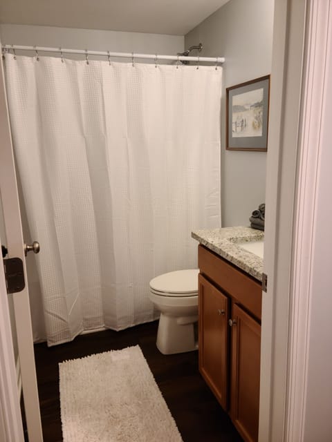 Combined shower/tub, hair dryer, towels, soap