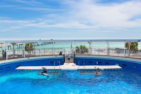 Indoor pool, a heated pool